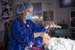 Nurse Anaesthetist
